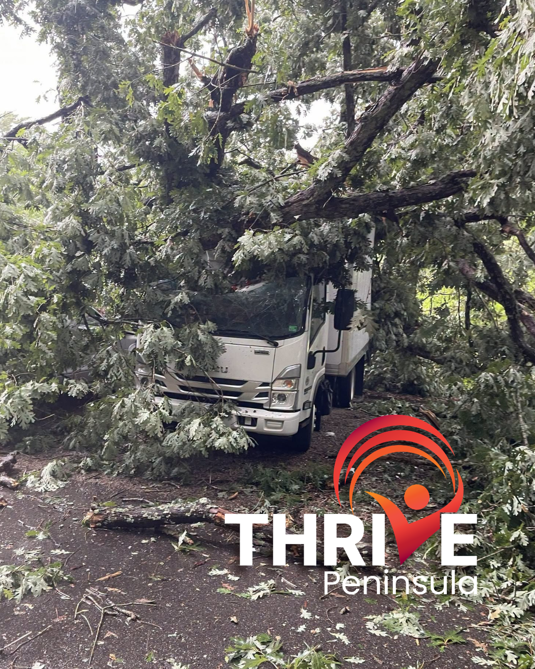 Campaign cover for THRIVE's TRUCK FUND