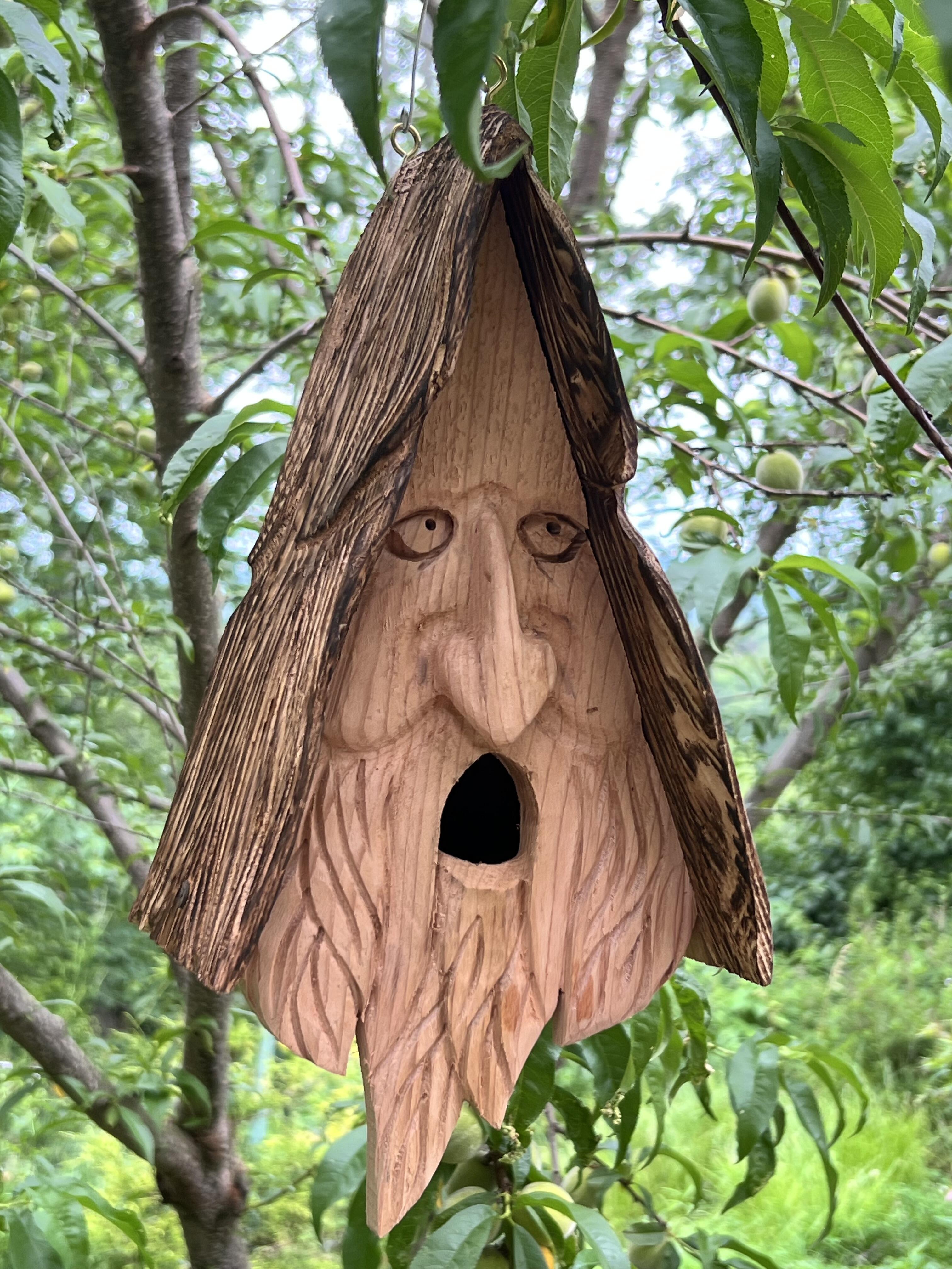 Campaign cover image for RAFFLE- Wood Spirit Birdhouse