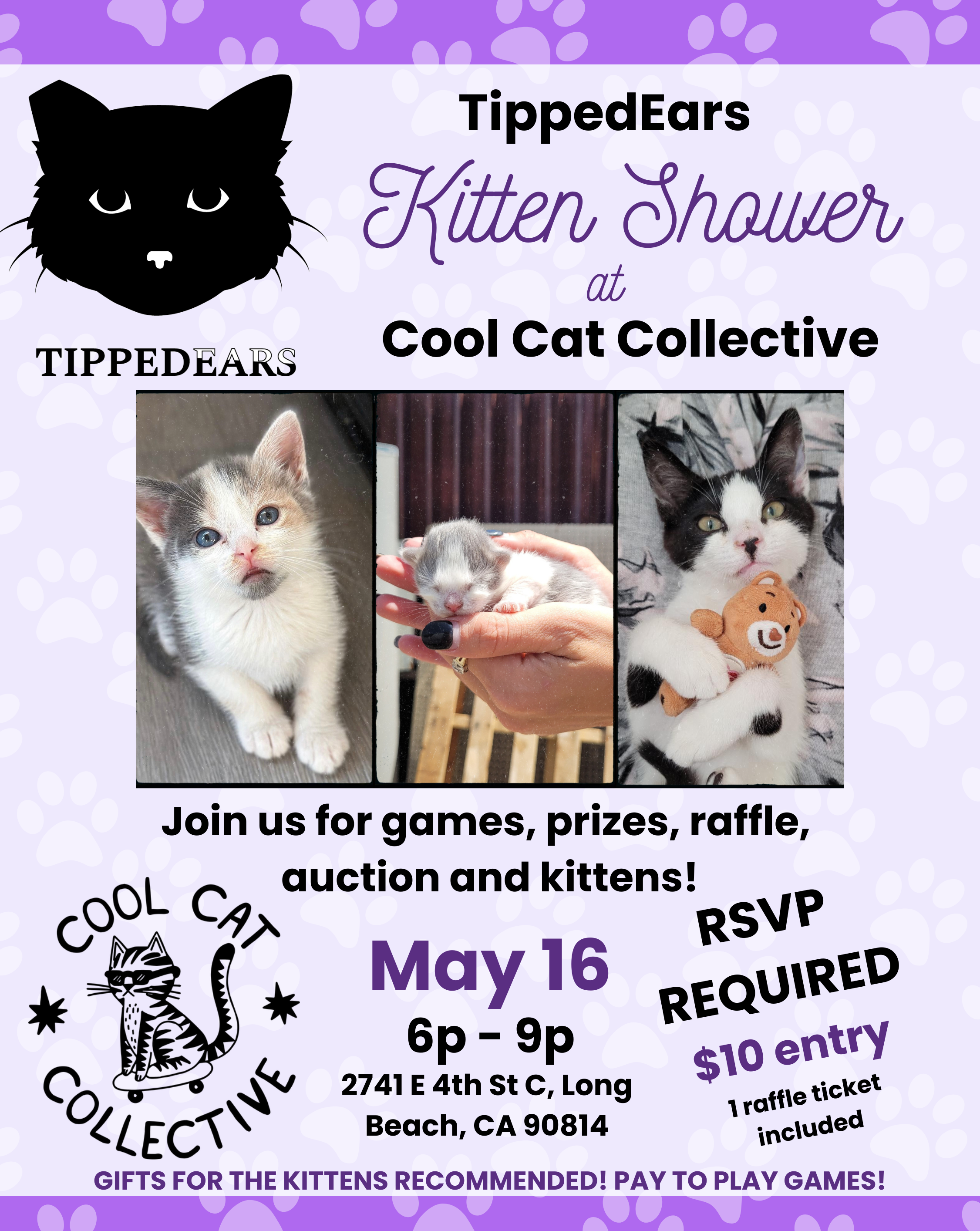 Campaign cover image for 2026 TippedEars Kitten Shower