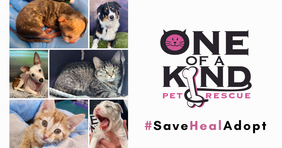 Campaign cover image for One of a Kind Pet Rescue