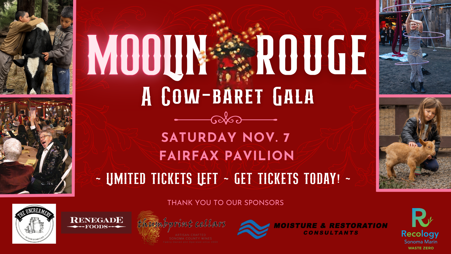 Campaign cover image for 2nd Annual Gala: Cirque du Sanctuary - MOOlin Rouge!