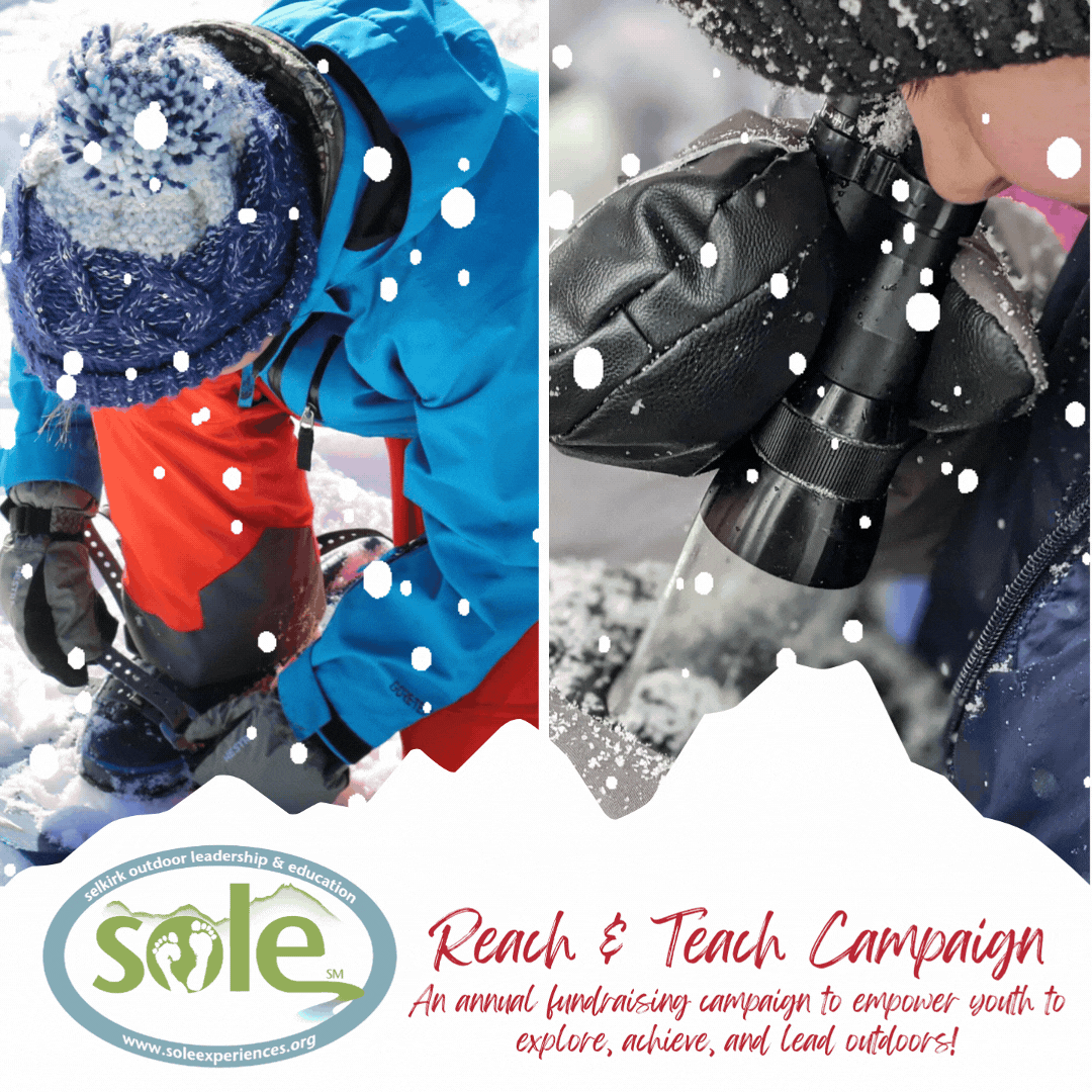Campaign cover image for SOLE Reach & Teach Campaign