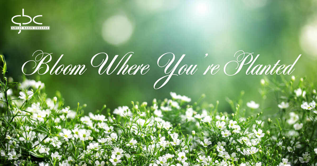 Campaign cover image for Bloom Where You're Planted & Support the Growth of Others