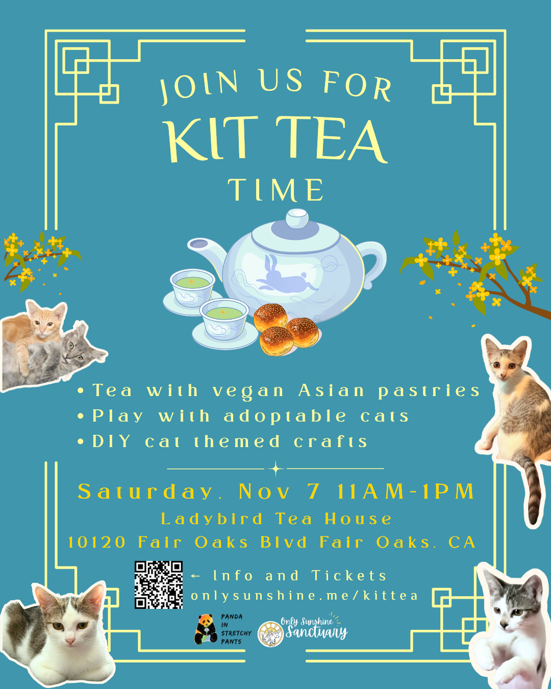 Campaign cover image for Kit Tea