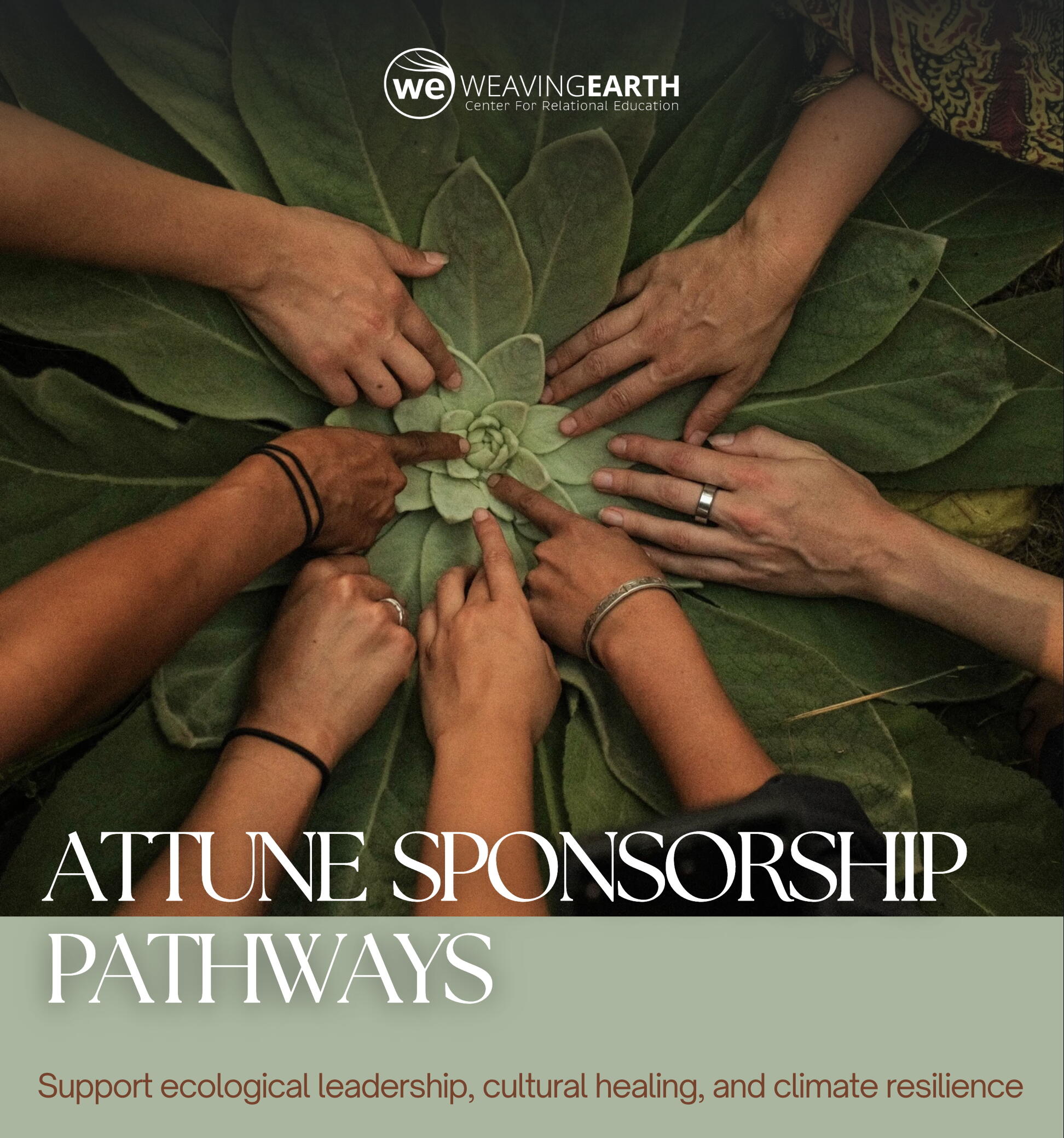 Campaign cover image for ATTUNE  Sponsorship Pathways