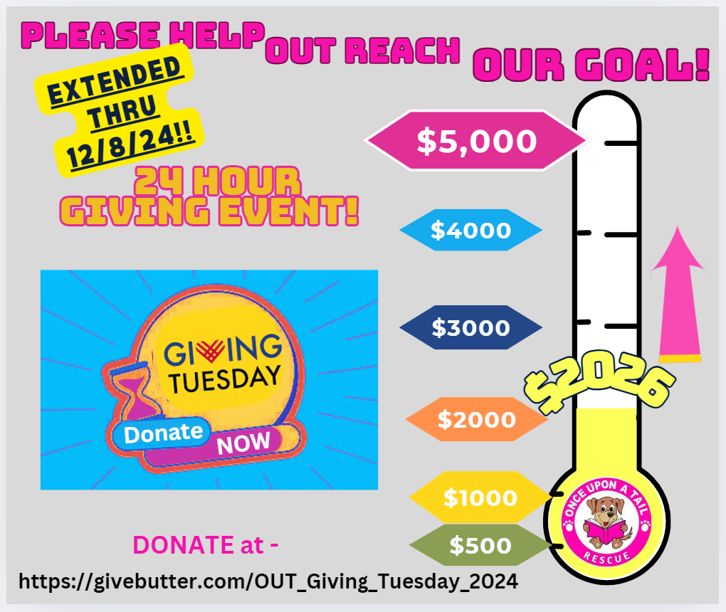 Campaign cover image for GIVING TUESDAY 2024