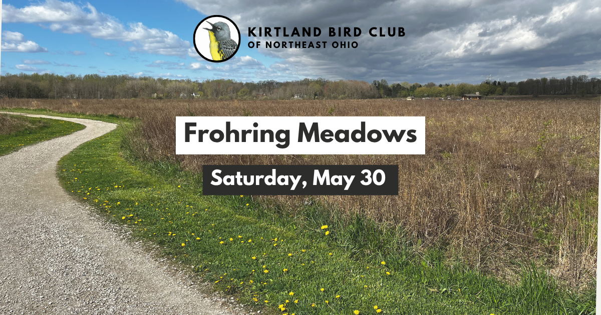 Campaign cover image for Frohring Meadows Field Trip