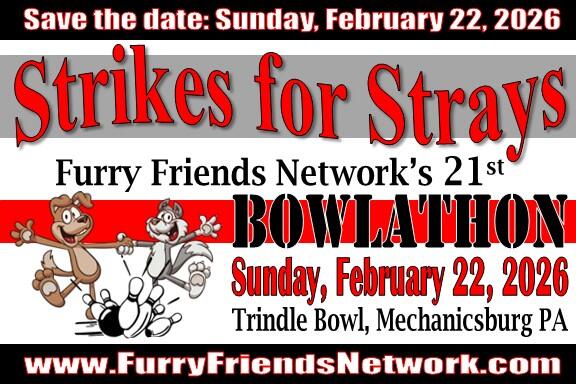 Campaign cover image for Strikes for Strays 2026
