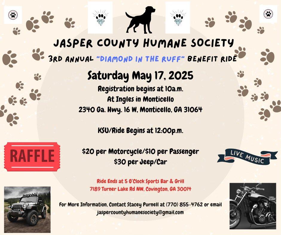 Campaign cover image for Diamond in the Ruff