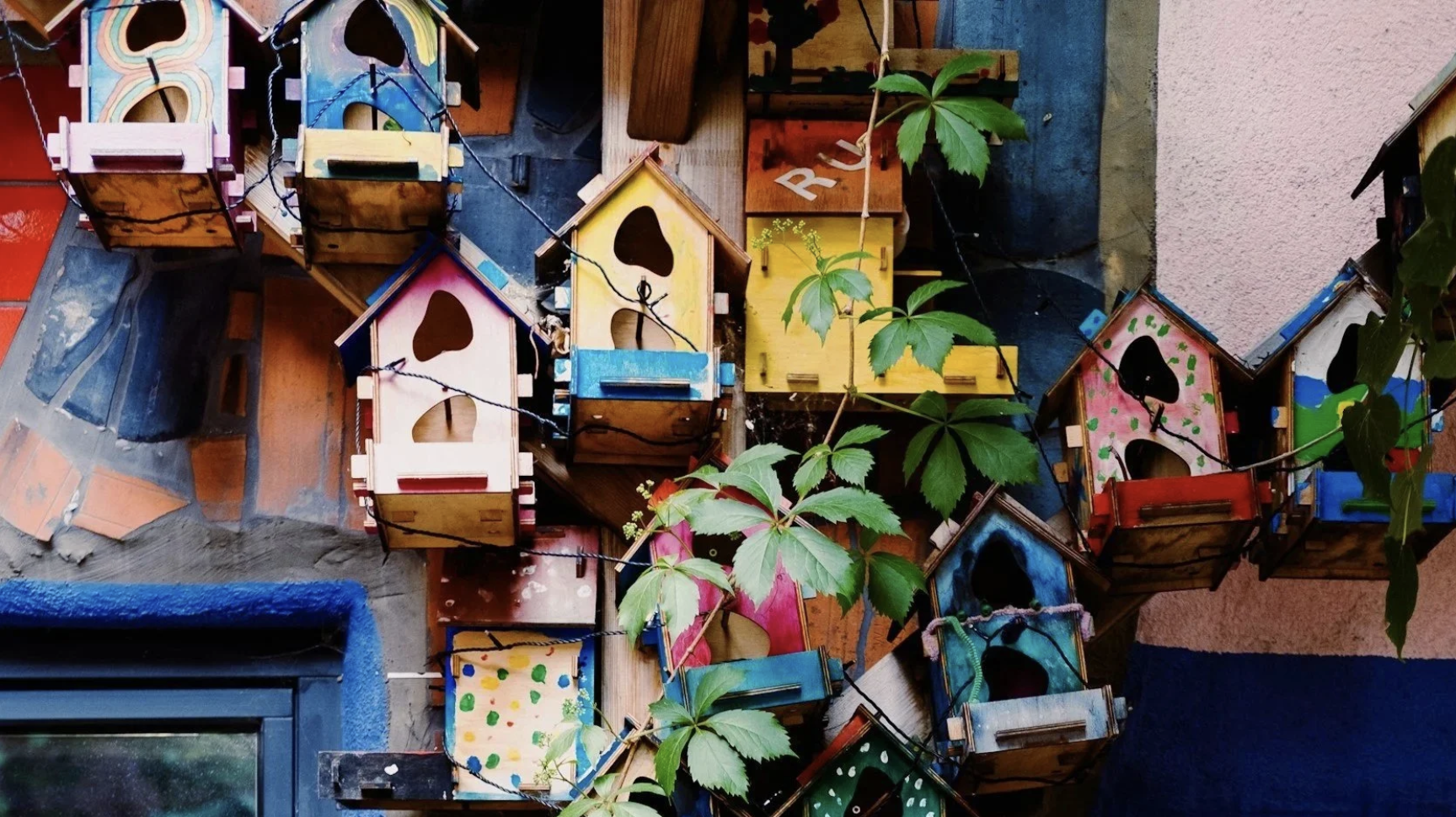 Campaign cover image for 10th Annual Birdhouse Bash: Paint & Decorate a Birdhouse with Daydreamz