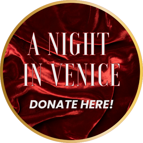 Campaign cover image for Donate to A Night in Venice!