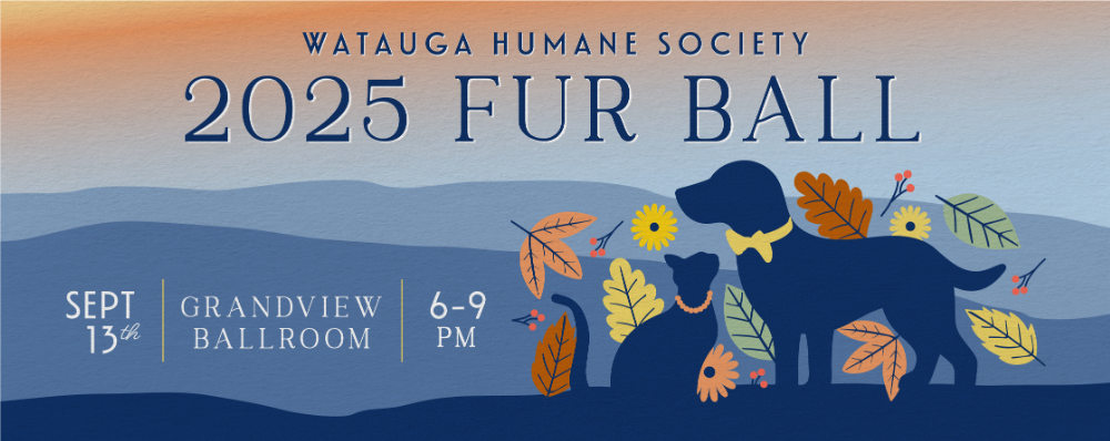 Campaign cover image for Fur Ball 2025