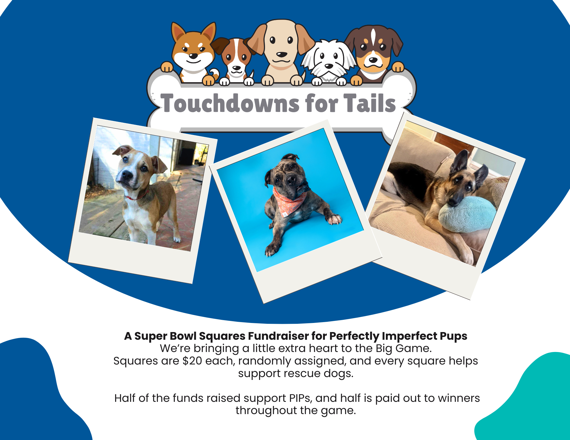 Campaign cover image for Touchdowns for Tails: A Super Bowl Squares Fundraiser for Perfectly Imperfect Pups