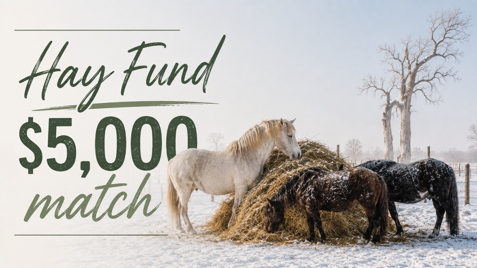 Campaign cover image for 2026-2027 Hay Fund
