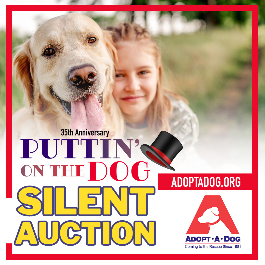 Campaign cover image for Puttin' on the Dog Silent Auction