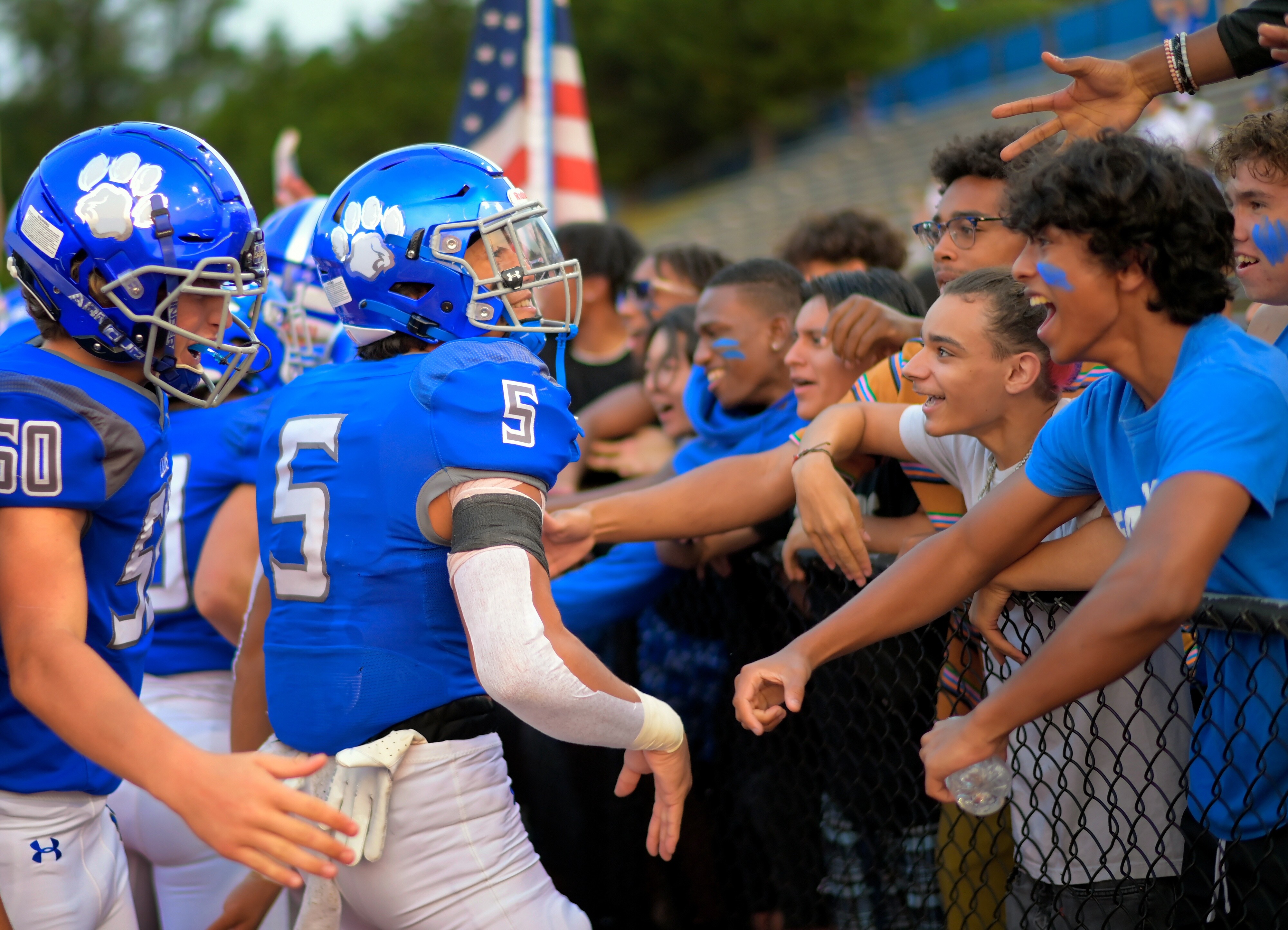 Campaign cover image for X:: 2024 Fairfax Lions Football