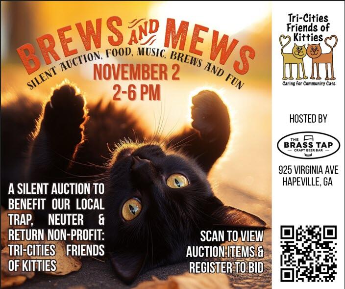 Campaign cover image for Tri-Cities Friends of Kitties Silent Auction