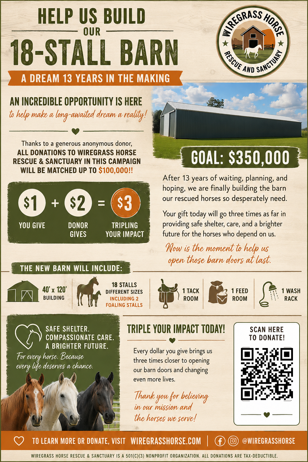 Campaign cover image for Wiregrass Horse Rescue & Sanctuary Barn