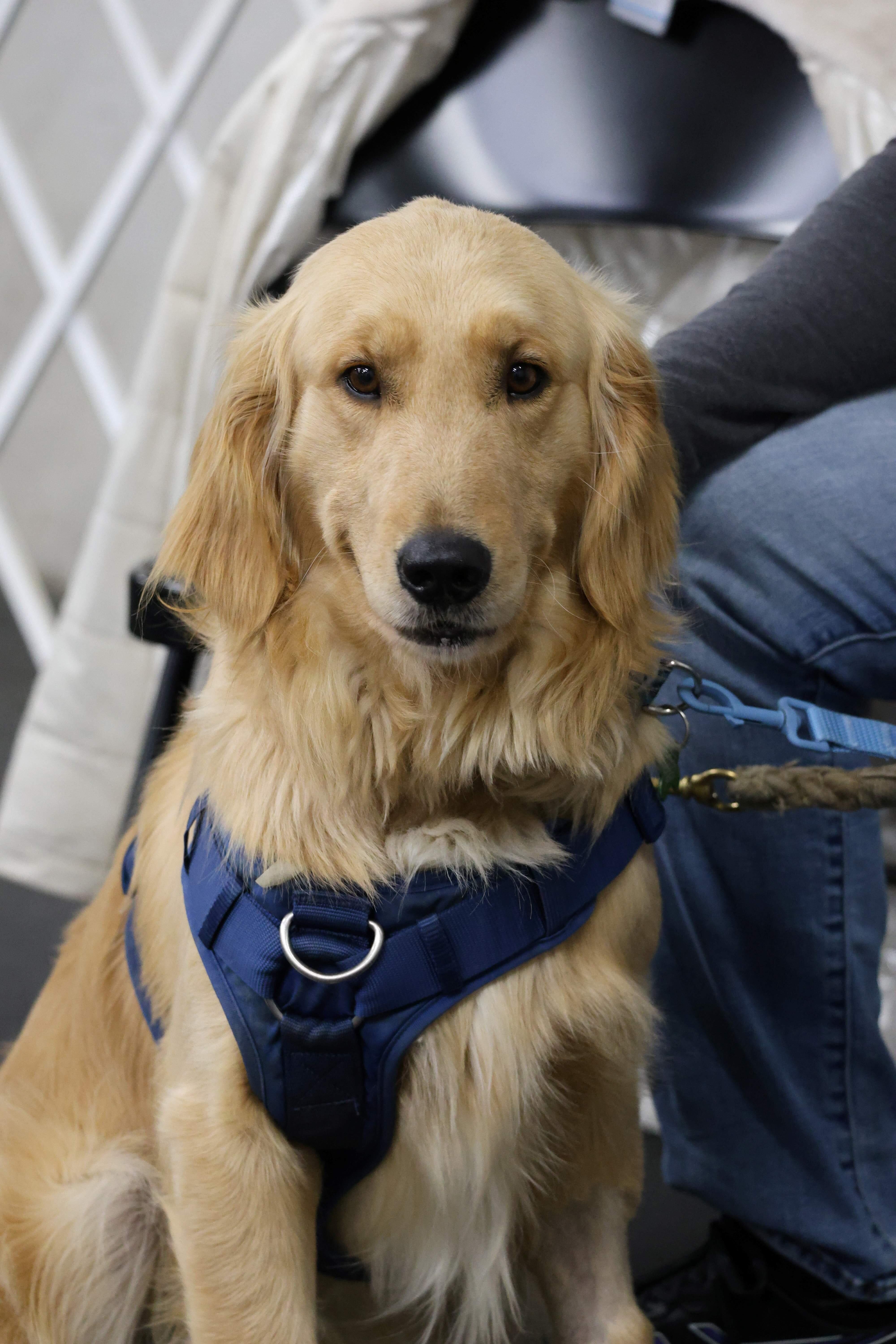 Campaign cover for Johnny Cash HW+