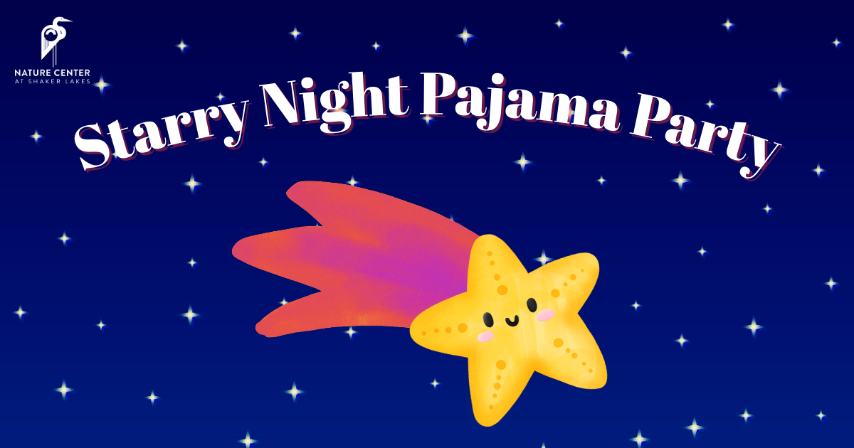 Campaign cover image for Starry Night Pajama Party 2-28-26