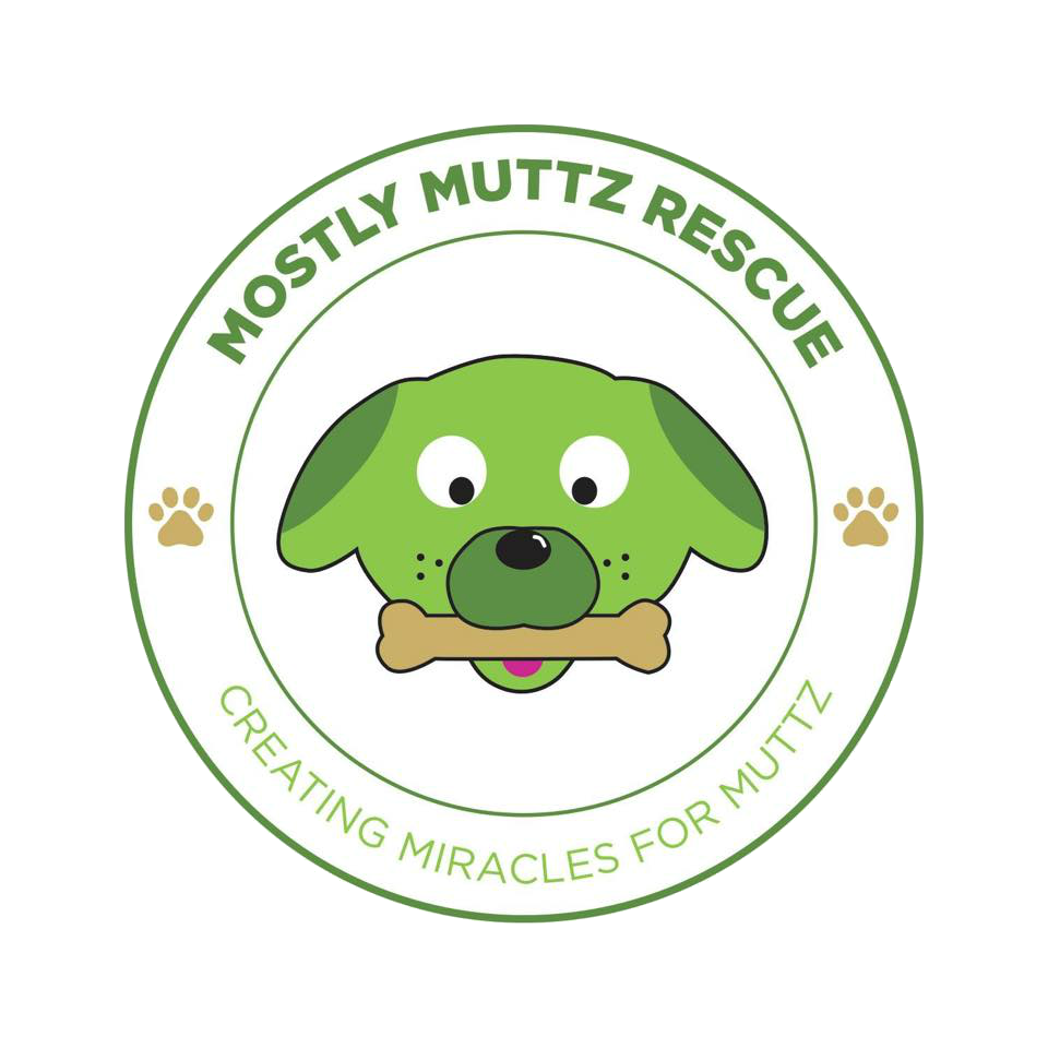 Campaign cover image for Adoption Fees