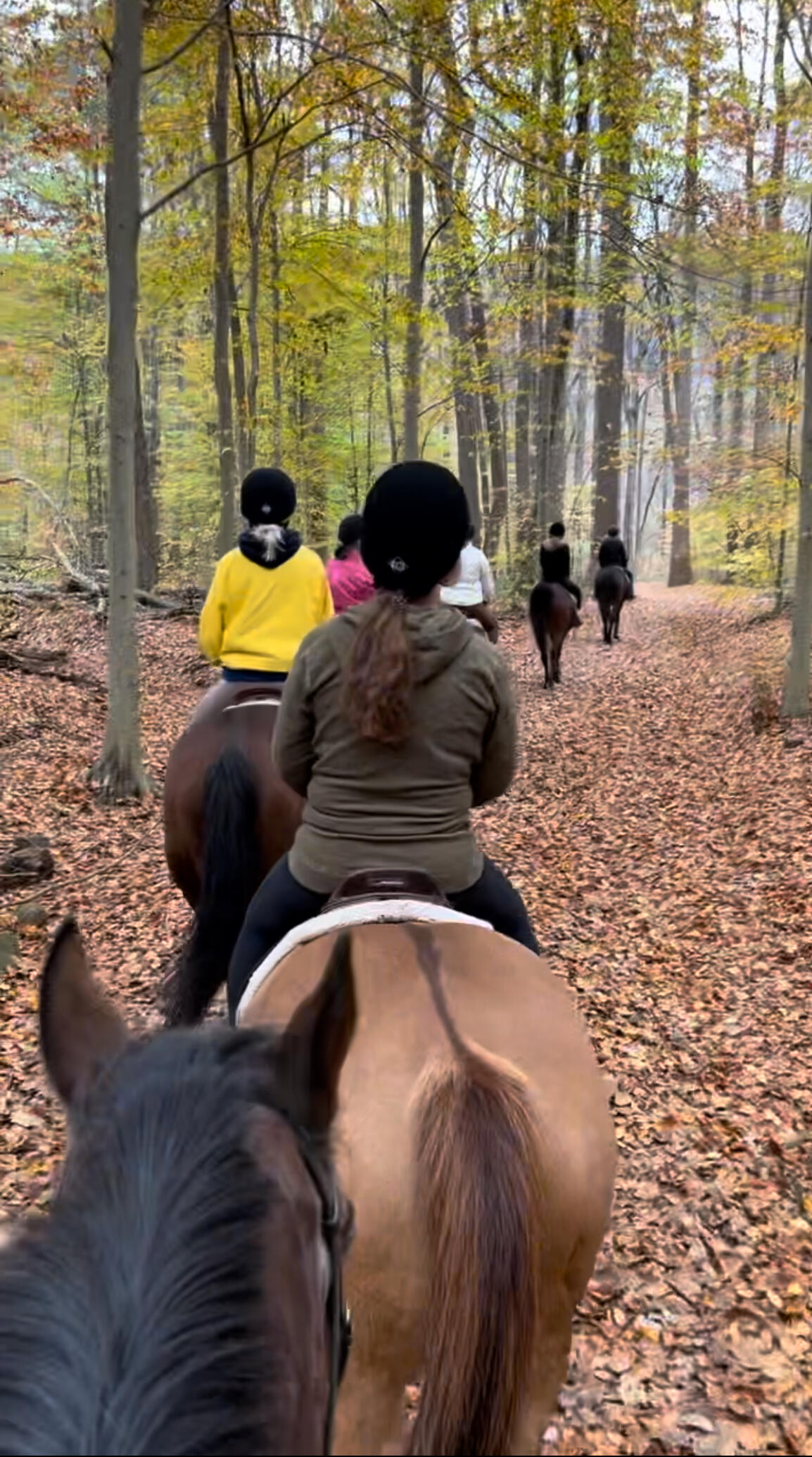 Campaign cover image for Watchung Stable Auxiliary