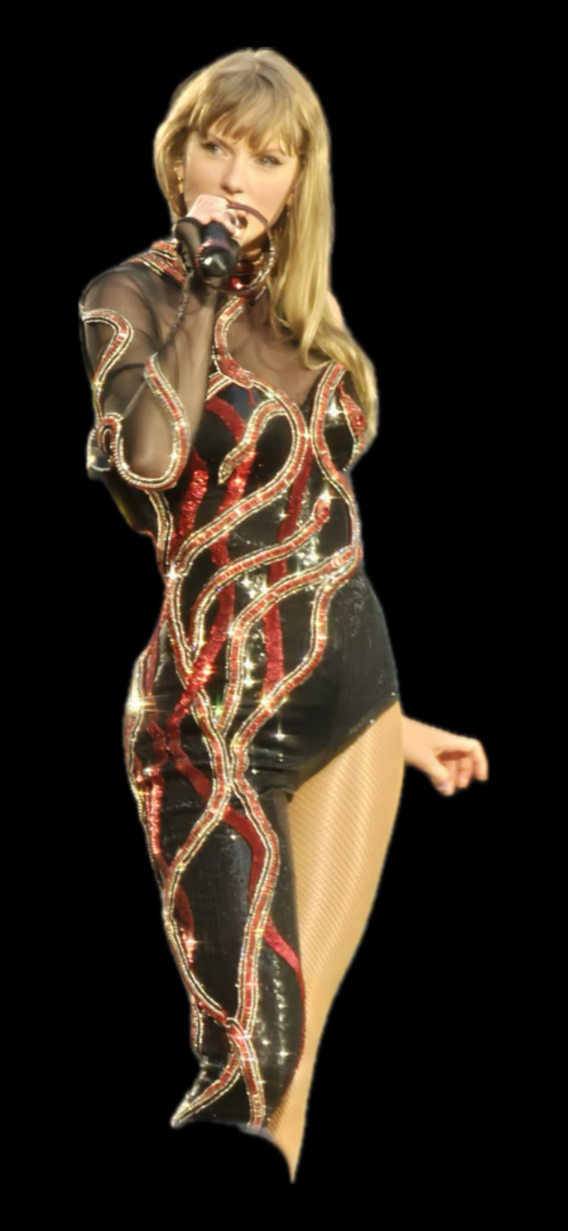 Campaign cover image for Taylor Swift Concert Tickets!!!