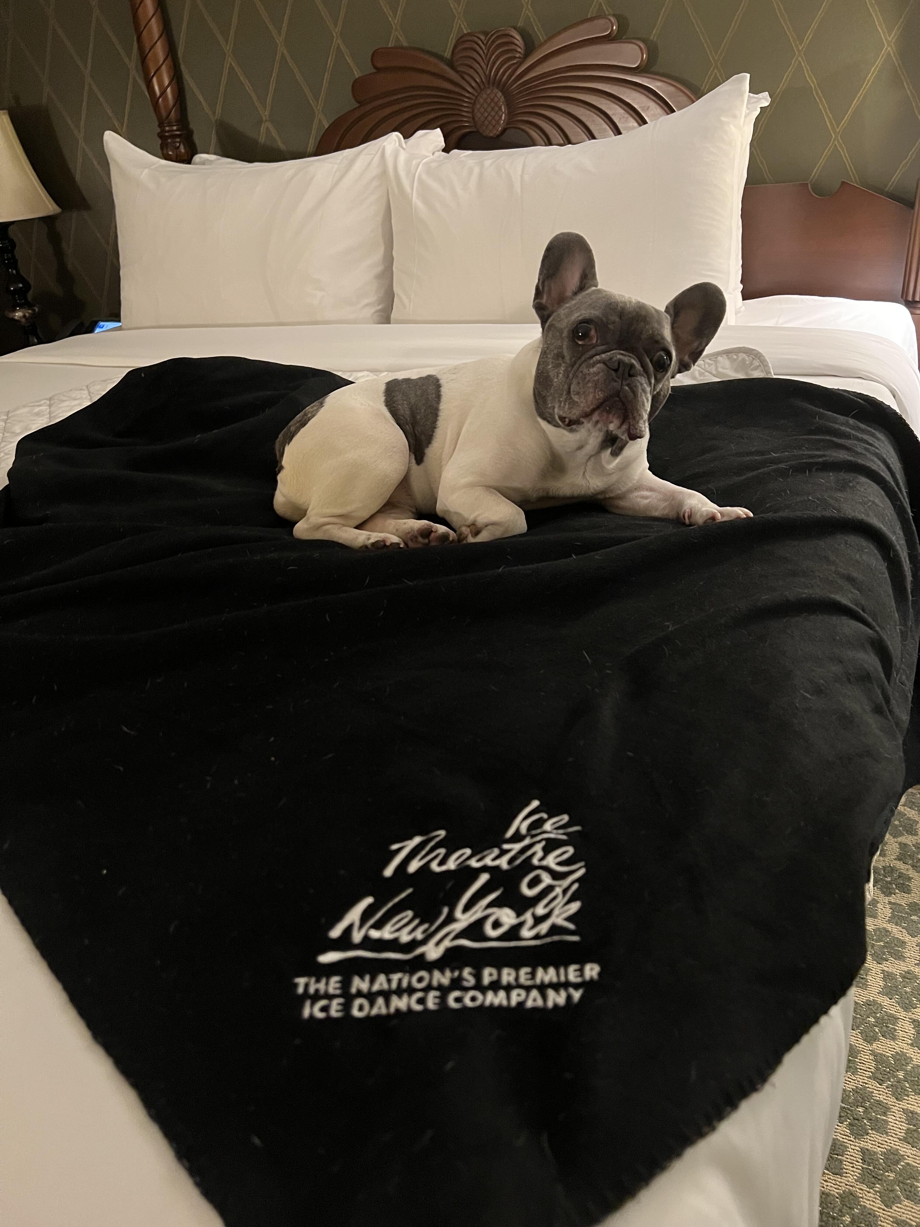 Campaign cover for ITNY Blanket