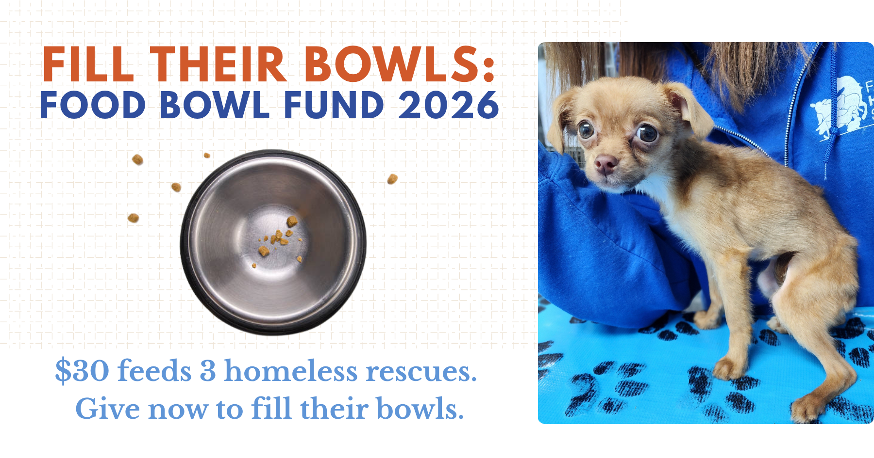 Campaign cover for Food Bowl Fund 2026