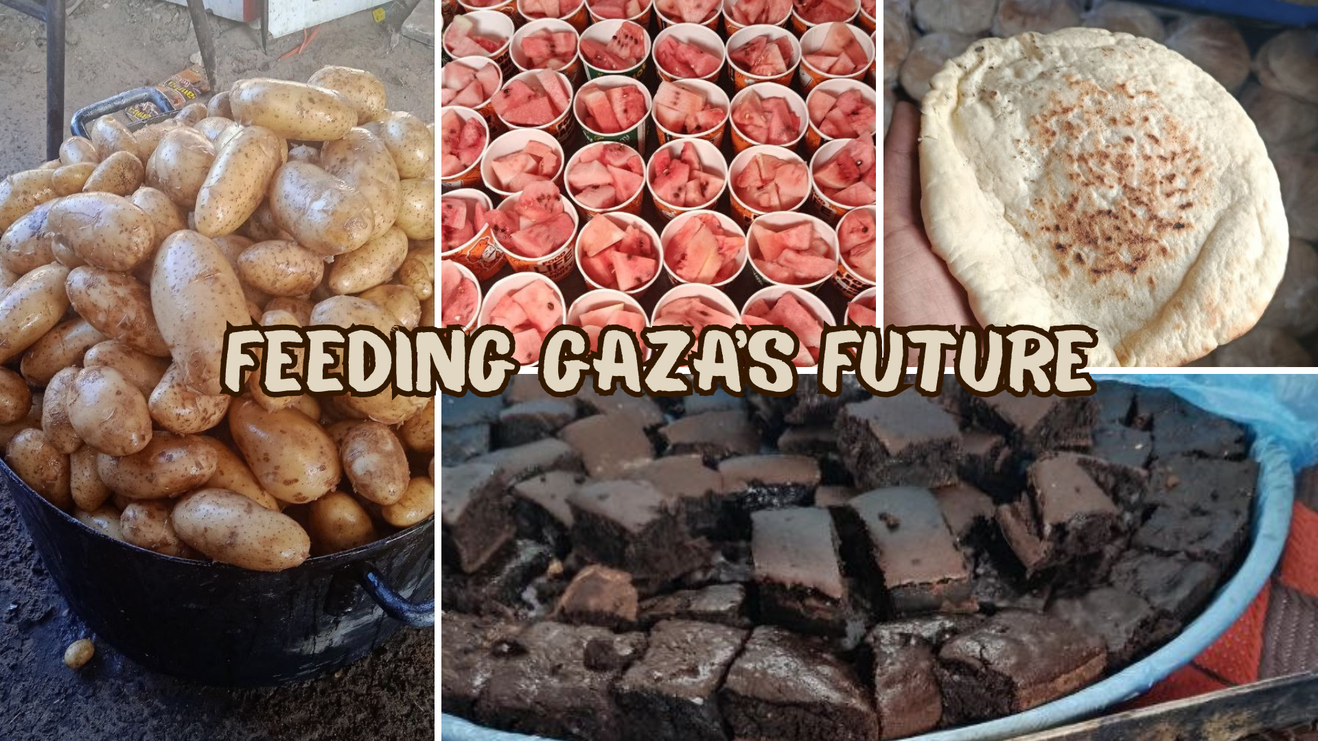 Campaign cover image for Feeding Gaza's Future