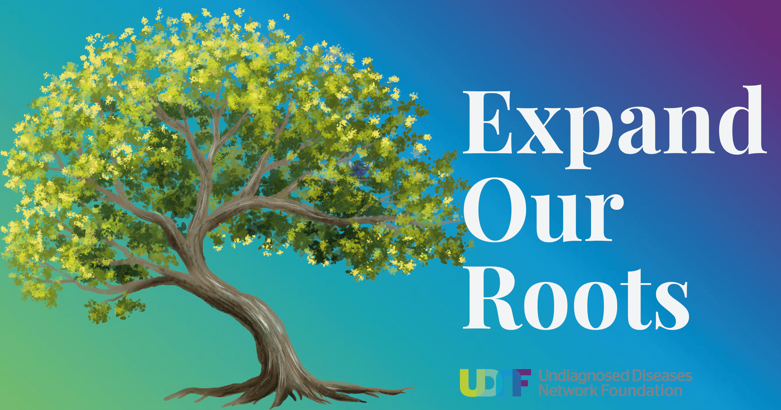 Campaign cover image for Expand Our Roots - Help Grow the Future of Diagnosis