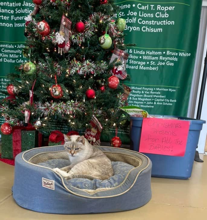 Campaign cover image for Make Christmas Merry