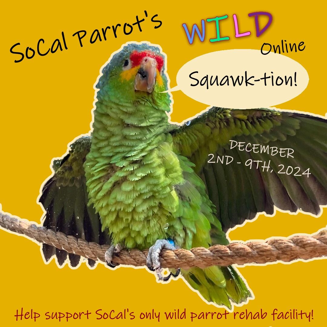 Campaign cover image for SoCal Parrot's WILD Online Squawk-tion!