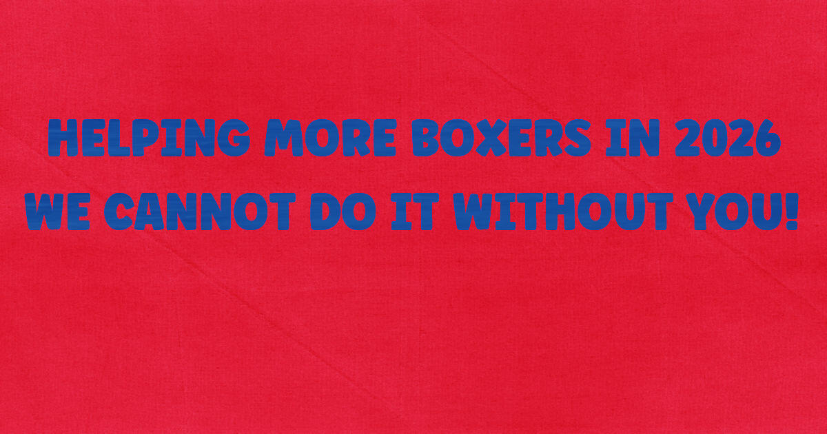 Campaign cover image for HELPING MORE BOXERS IN 2026