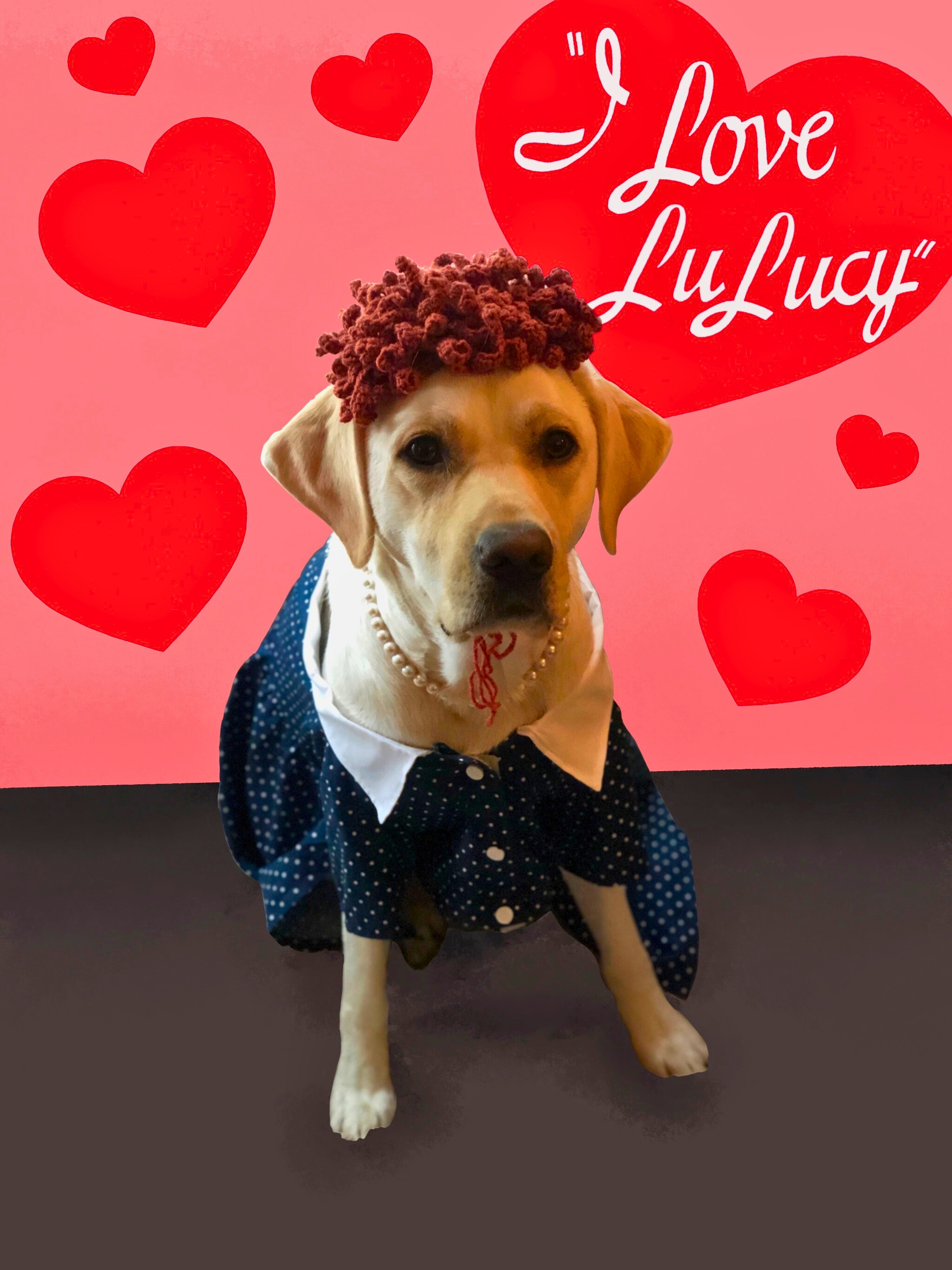 Campaign cover image for Unleashing Love