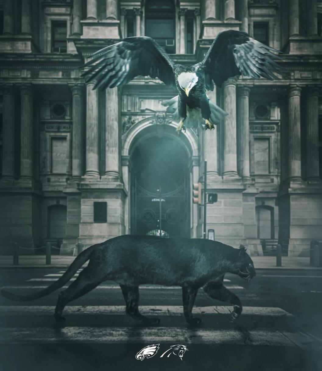 Campaign cover for 🦅 EAGLES vs PANTHERS