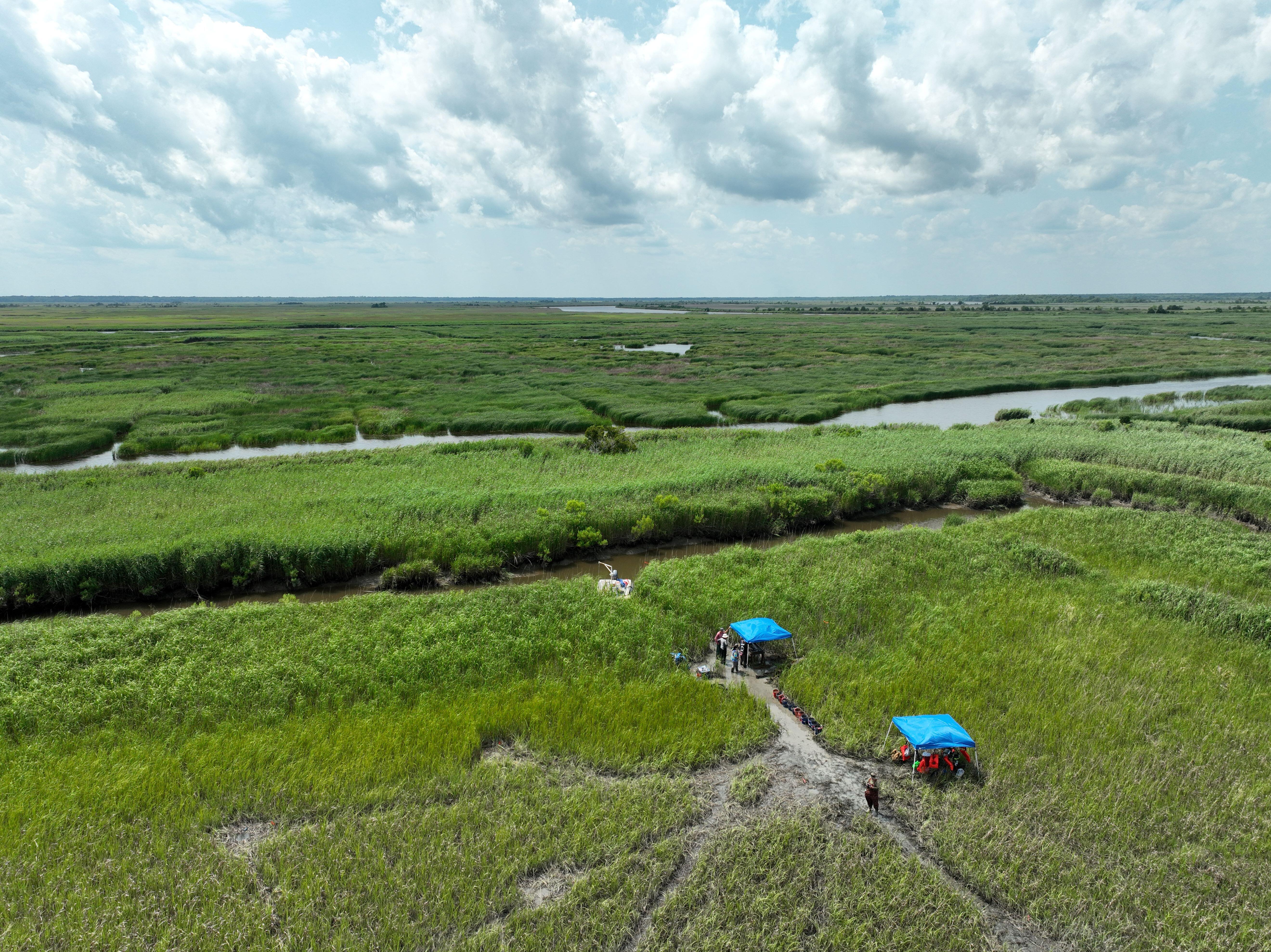 Campaign cover image for The  Santee Delta Project Campaign Page