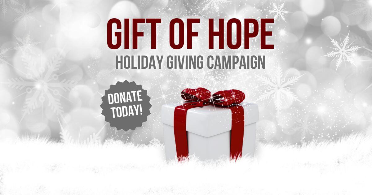 Campaign cover image for Gift of Hope