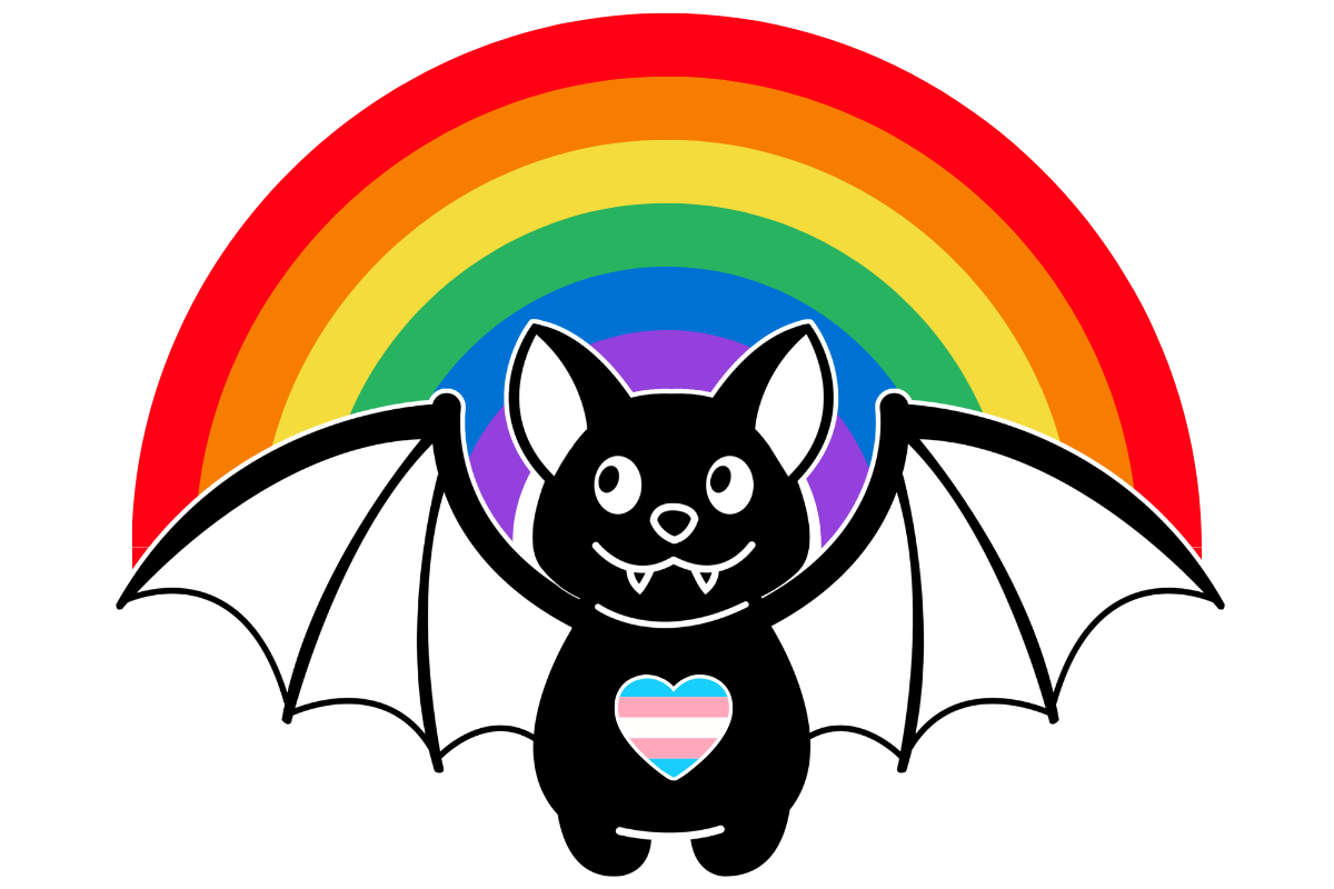 Campaign cover for Donate to North Shore Queer Network