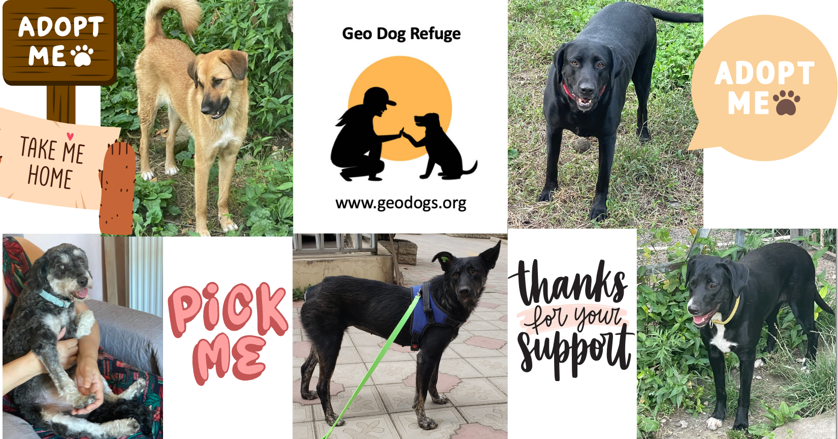 Campaign cover image for Support, Foster, Adopt or Relocate