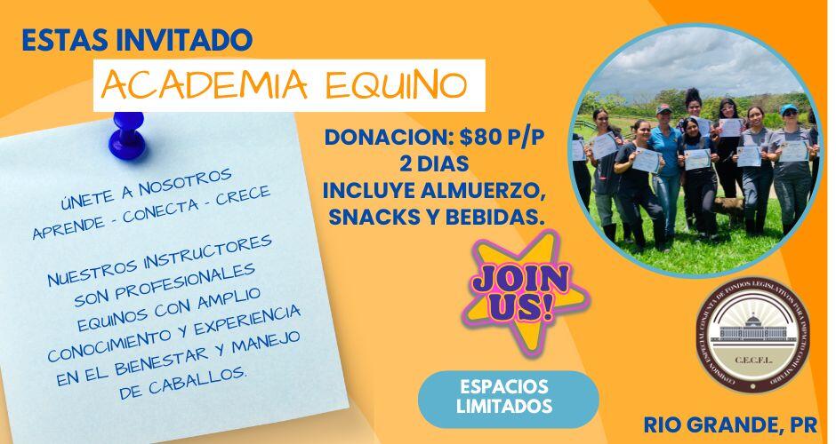 Campaign cover image for Equine Academy