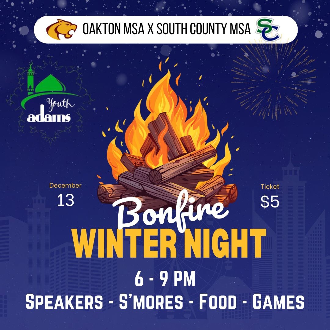 Campaign cover image for Inter-MSA Bonfire Winter Night