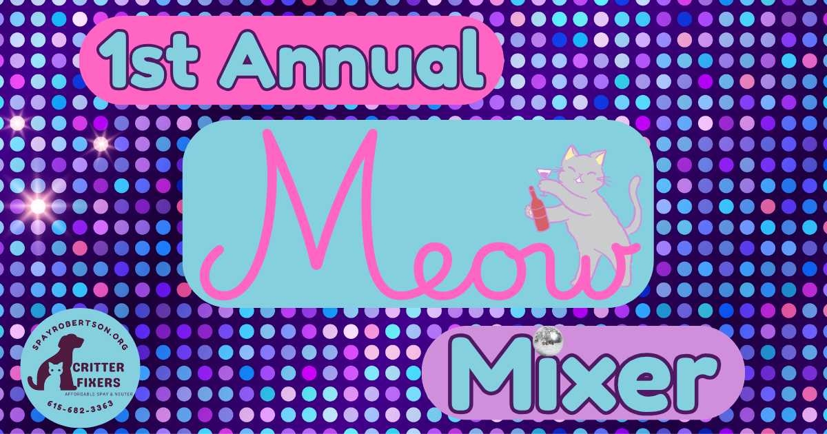 Campaign cover image for Meow Mixer
