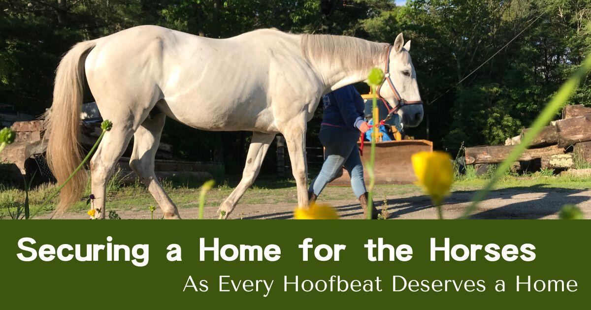 Campaign cover image for Securing Their Future: The Hay Burr Inn Property Purchase Campaign