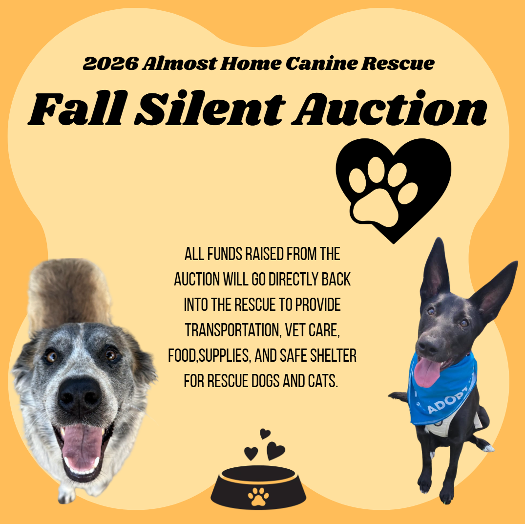 Campaign cover image for 2026 Almost Home Canine Rescue Fall Silent Auction