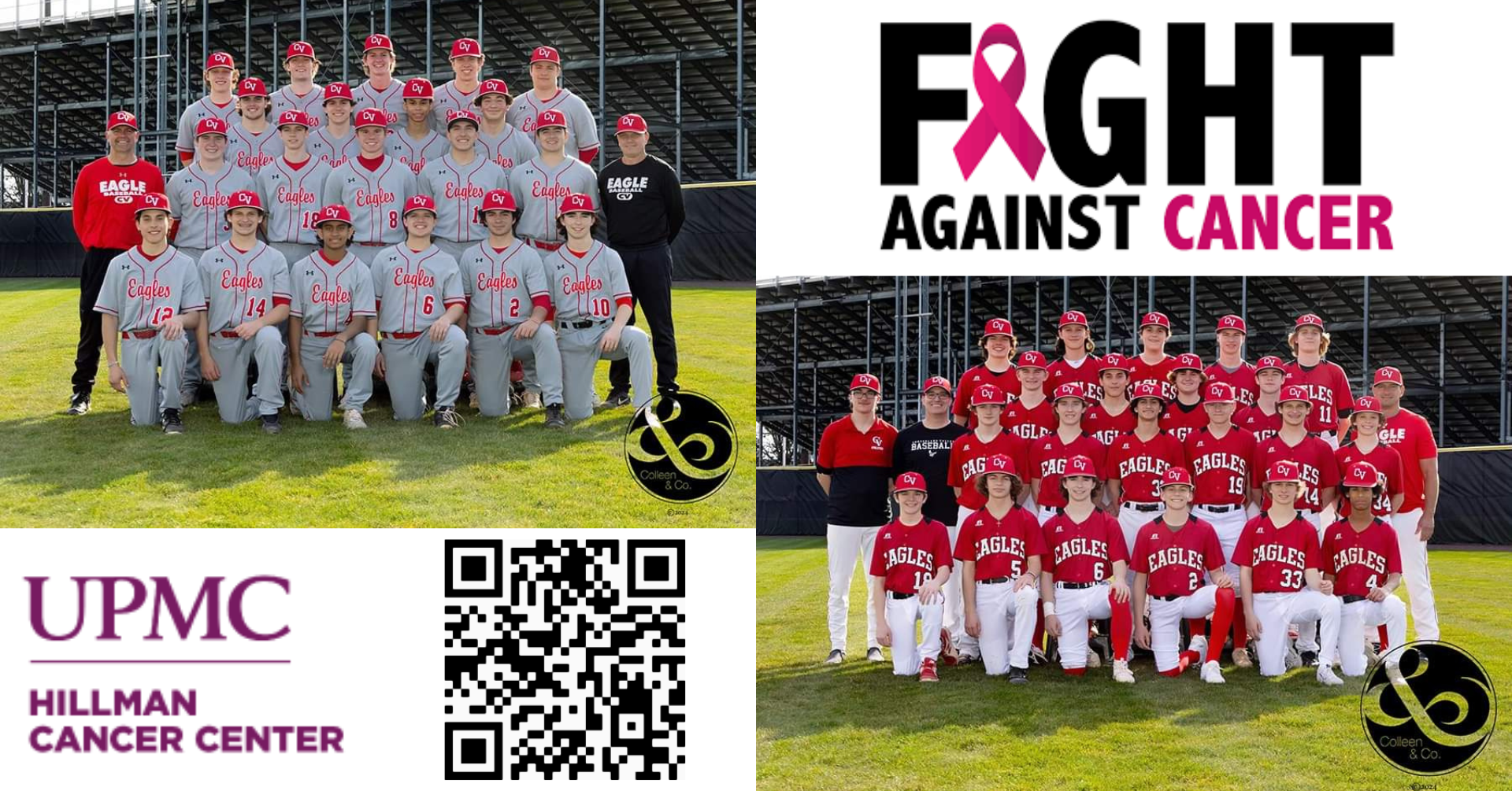 Campaign cover image for CV Fight Cancer Game