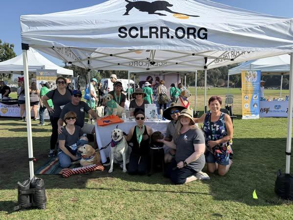 Campaign cover image for 2025 SCLRR Holiday Newsletter