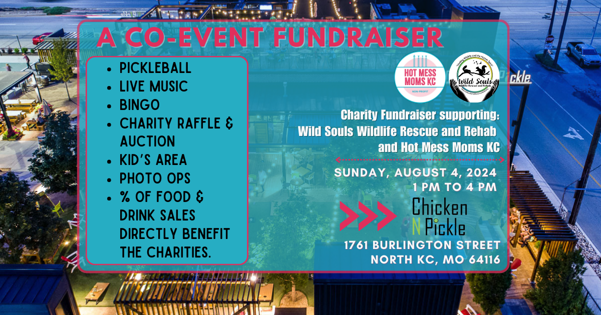 Campaign cover image for Online Auction