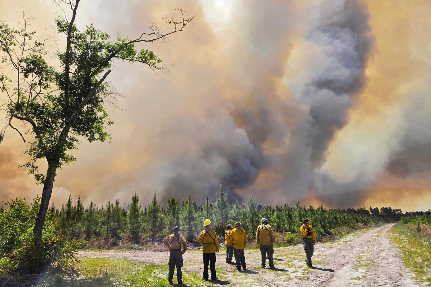 Campaign cover image for Emerge Disaster Response: GA & FL Wildfires