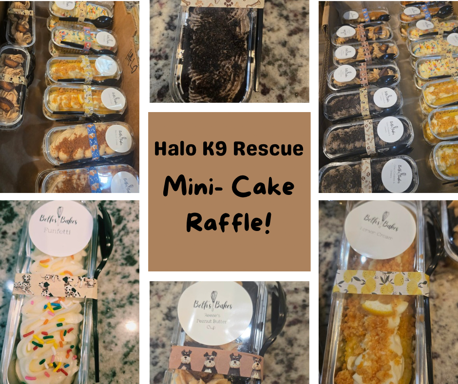 Campaign cover image for MINI CAKES RAFFLE